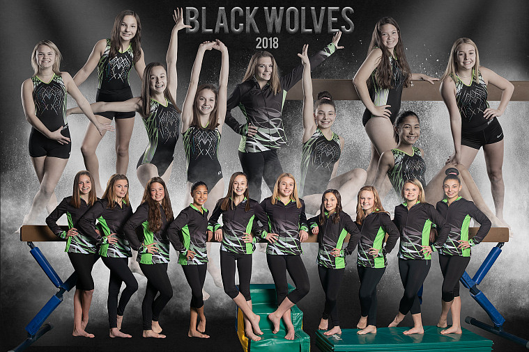 Wolf Den gymnastics MAGA team poster